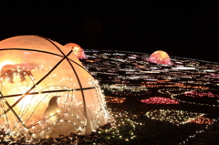 グラウンドイルミネーション