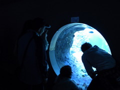 異世界への入り口