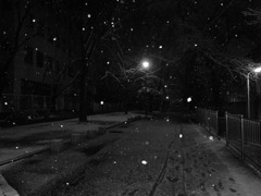 snow