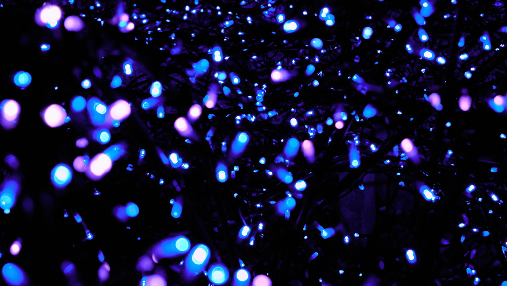 星降る夜・・・のイメージ