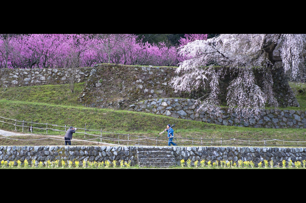 もう一枚だけ・・・