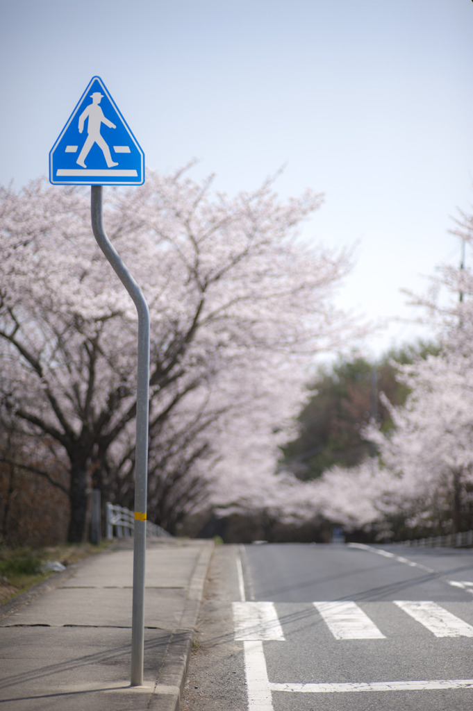 いっぽ