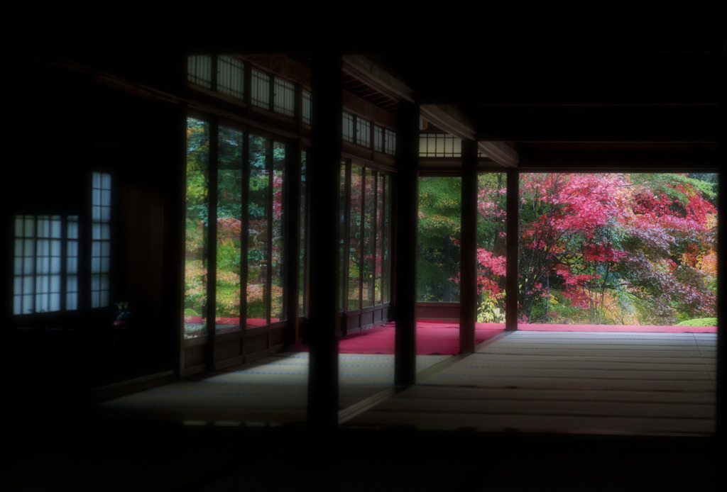 雨の庭