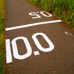 PA230637