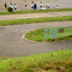 PA230658