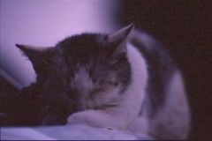 俺ってどこでも寝れるタイプなんだぁ