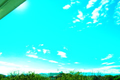 冬の空