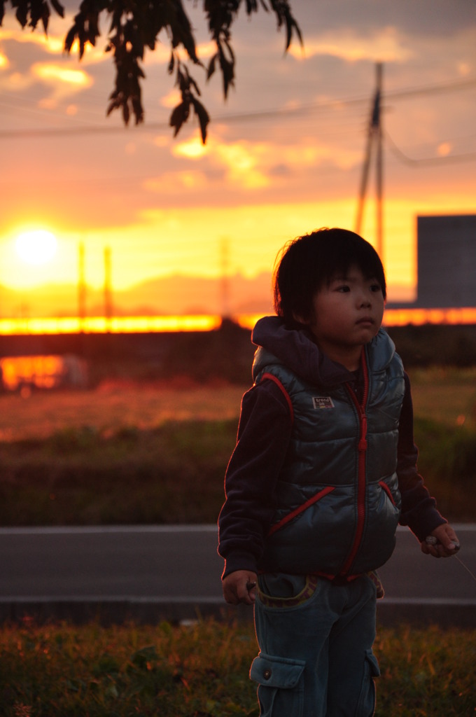 夕日に照らされて