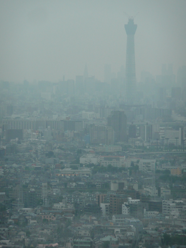 市川にて