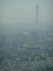市川にて