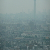市川にて