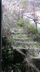 The stairs #1