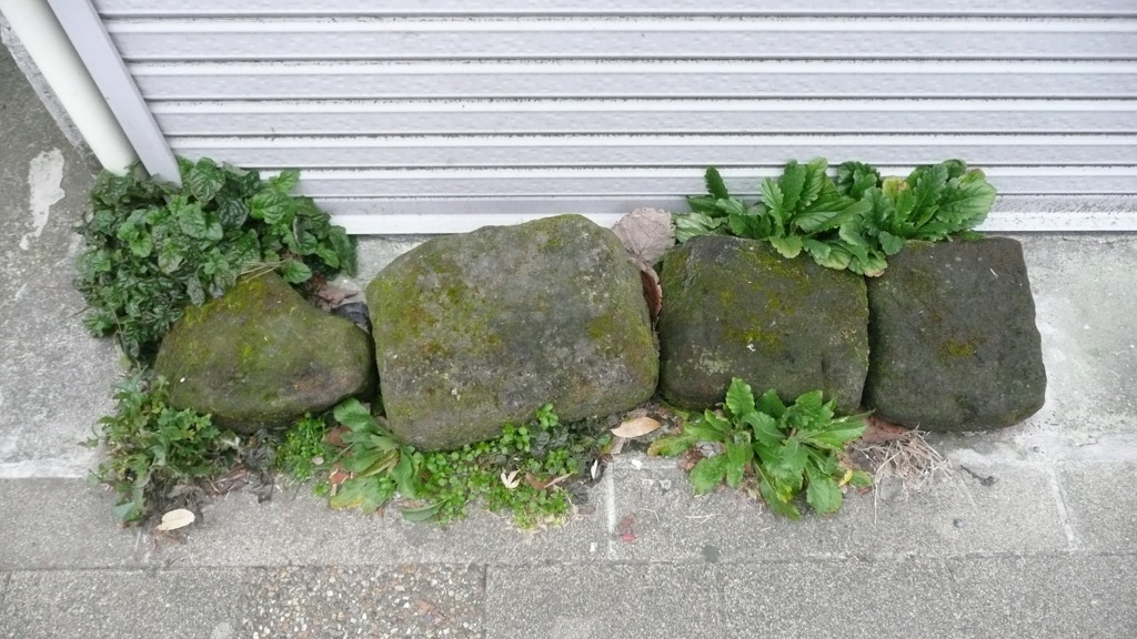 Four stones