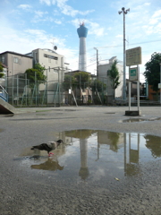 公園にて