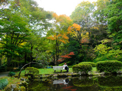 芹ヶ谷公園色づき始め1
