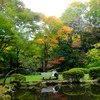 芹ヶ谷公園色づき始め1