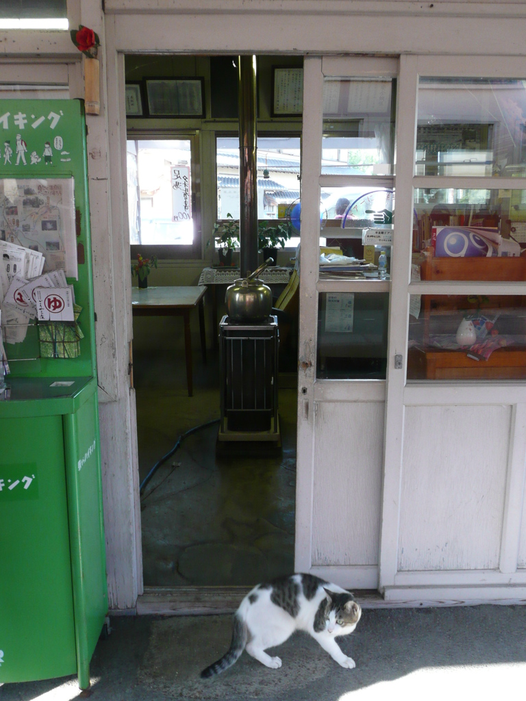 ストーブと猫