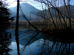 TAISHO-IKE POND