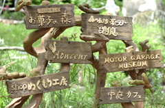 ぬくもりの森１