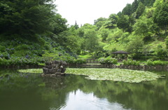 みのかものも森１８