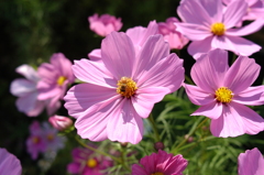 木曽三川公園　１