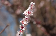 アクアトト　６