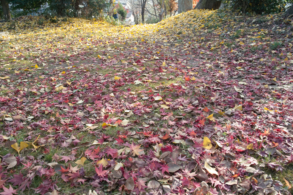 大正村１２