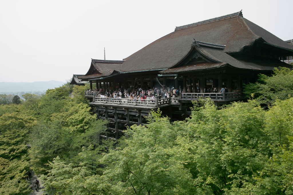 2013DP1-15