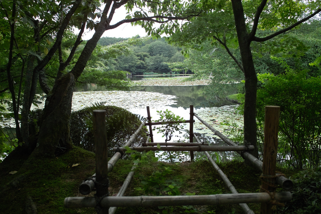 京都１２