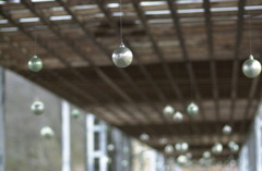 花フェスタ公園２