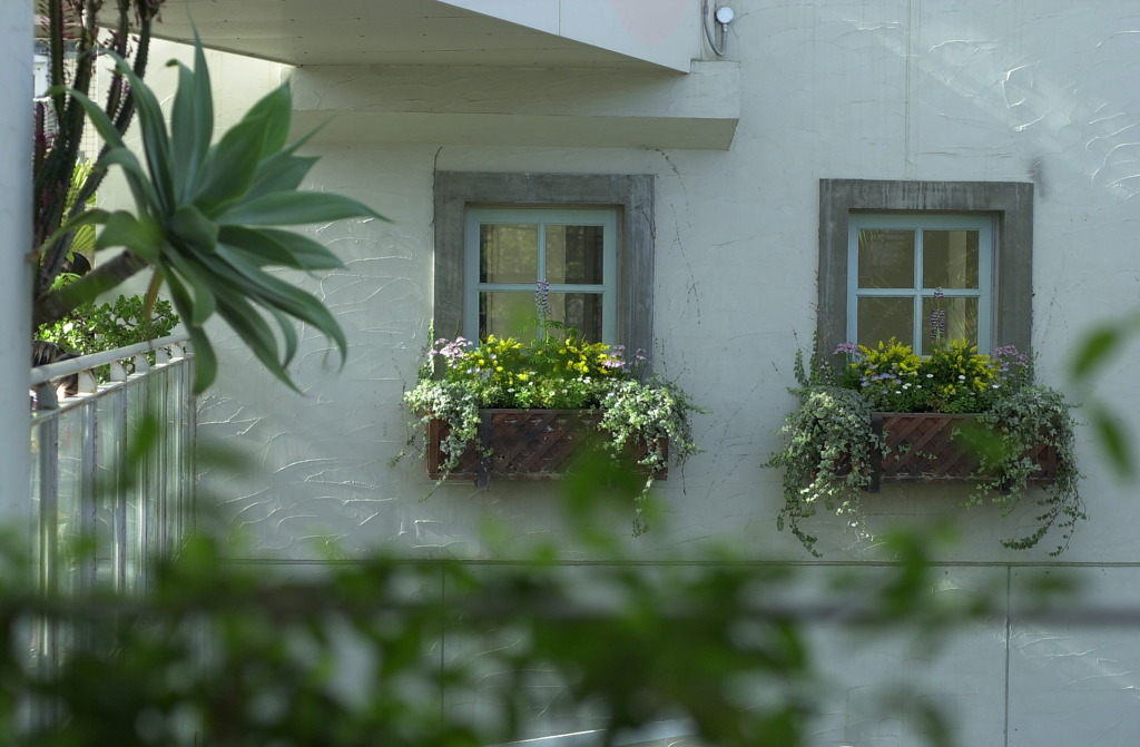 春日井植物園５
