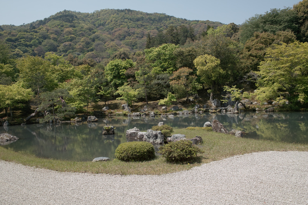 2013DP1-12