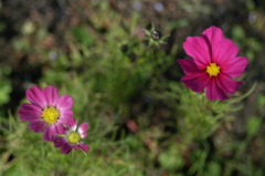 木曽三川公園　７