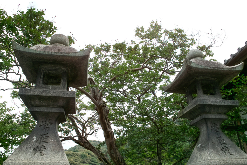 京都３
