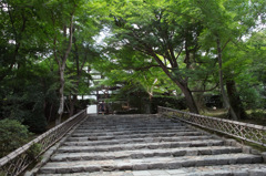 龍安寺３