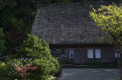 白川郷