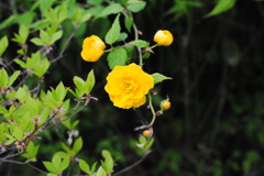 アクアトト　８