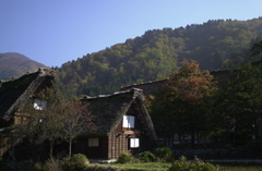 白川郷