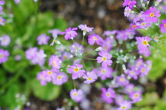 アクアトト　５