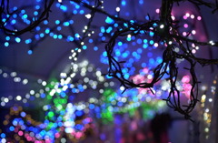 花フェスタ公園３