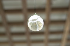 花フェスタ公園１