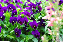 アクアトト　４