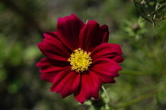 木曽三川公園　１５