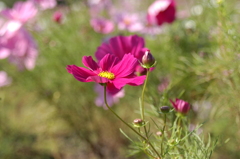 木曽三川公園　１２