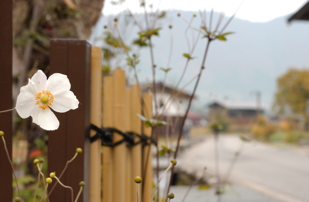 白川郷　９