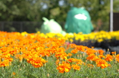 もりコロパーク１