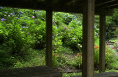 みのかもの森１５