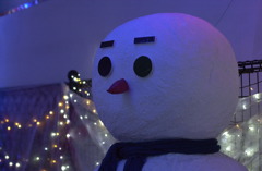 花フェスタ公園１６