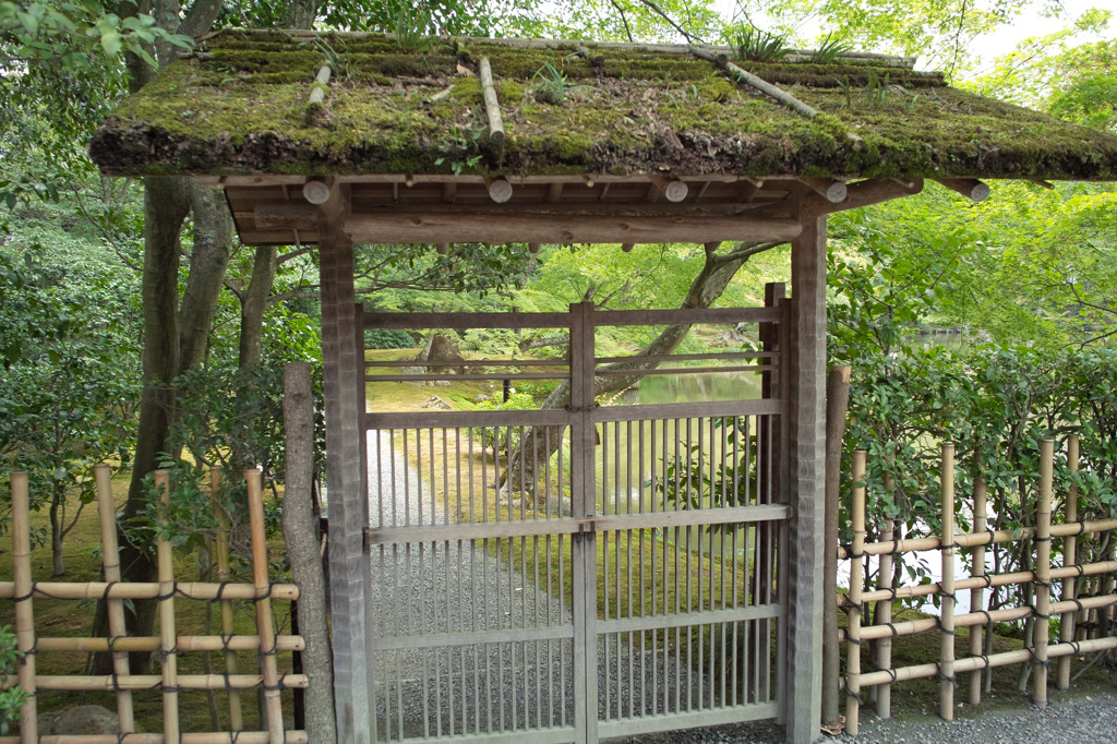京都７