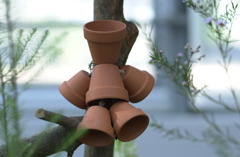 春日井植物園１７